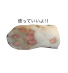 愛しのたまこちゃん（個別スタンプ：10）