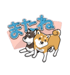 柴犬大好きスタンプ（個別スタンプ：15）