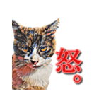 うちのなかよし猫たん（個別スタンプ：8）