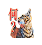 うちのなかよし猫たん（個別スタンプ：13）
