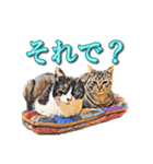 うちのなかよし猫たん（個別スタンプ：16）