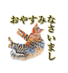 うちのなかよし猫たん（個別スタンプ：22）