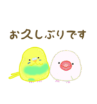 敬語で使いやすい！インコのひぃちゃん（個別スタンプ：21）