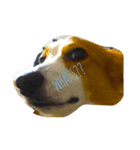 保護犬出身のコルク。（個別スタンプ：1）