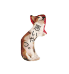 保護犬出身のコルク。（個別スタンプ：5）