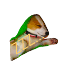 保護犬出身のコルク。（個別スタンプ：8）