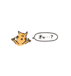 小さめスタンプ！虎猫さん＋文字（個別スタンプ：4）