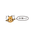 小さめスタンプ！虎猫さん＋文字（個別スタンプ：5）