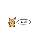 小さめスタンプ！虎猫さん＋文字（個別スタンプ：8）