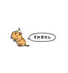 小さめスタンプ！虎猫さん＋文字（個別スタンプ：20）