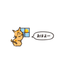小さめスタンプ！虎猫さん＋文字（個別スタンプ：25）
