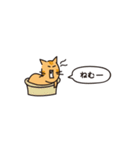 小さめスタンプ！虎猫さん＋文字（個別スタンプ：29）