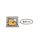小さめスタンプ！虎猫さん＋文字（個別スタンプ：36）