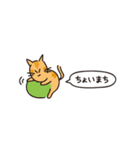 小さめスタンプ！虎猫さん＋文字（個別スタンプ：38）