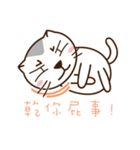 Stray Cat Adventures in Wonderland（個別スタンプ：6）