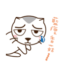 Stray Cat Adventures in Wonderland（個別スタンプ：10）