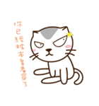 Stray Cat Adventures in Wonderland（個別スタンプ：11）
