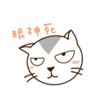 Stray Cat Adventures in Wonderland（個別スタンプ：14）