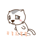 Stray Cat Adventures in Wonderland（個別スタンプ：17）