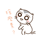 Stray Cat Adventures in Wonderland（個別スタンプ：19）