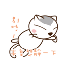 Stray Cat Adventures in Wonderland（個別スタンプ：21）