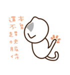 Stray Cat Adventures in Wonderland（個別スタンプ：28）