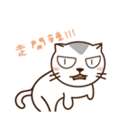 Stray Cat Adventures in Wonderland（個別スタンプ：30）