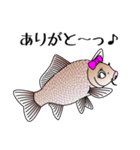 お魚スタンプ★カープ・鯉・コイ（個別スタンプ：6）