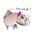 お魚スタンプ★カープ・鯉・コイ（個別スタンプ：24）