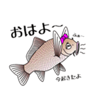 お魚スタンプ★カープ・鯉・コイ（個別スタンプ：36）
