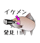 お魚スタンプ★カープ・鯉・コイ（個別スタンプ：38）