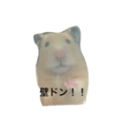 ハムスターまつり（個別スタンプ：3）