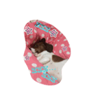 lovery dogs（個別スタンプ：6）