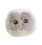 鳥さん達（個別スタンプ：3）