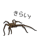 Handsome Spider (J)（個別スタンプ：3）
