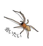 Handsome Spider (J)（個別スタンプ：5）