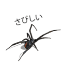 Handsome Spider (J)（個別スタンプ：6）