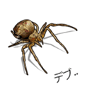 Handsome Spider (J)（個別スタンプ：7）