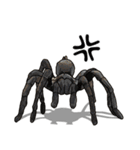 Handsome Spider (J)（個別スタンプ：8）