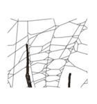 Handsome Spider (J)（個別スタンプ：9）