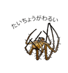 Handsome Spider (J)（個別スタンプ：12）