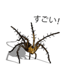 Handsome Spider (J)（個別スタンプ：13）