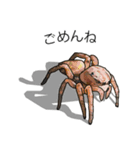 Handsome Spider (J)（個別スタンプ：16）