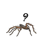 Handsome Spider (J)（個別スタンプ：19）