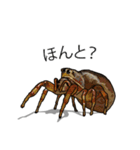 Handsome Spider (J)（個別スタンプ：22）