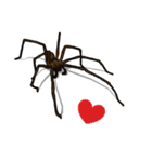 Handsome Spider (J)（個別スタンプ：32）