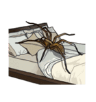 Handsome Spider (J)（個別スタンプ：33）