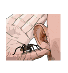 Handsome Spider (J)（個別スタンプ：40）