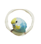 インコ（個別スタンプ：2）