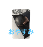 ヤマケンスタンプ（個別スタンプ：4）